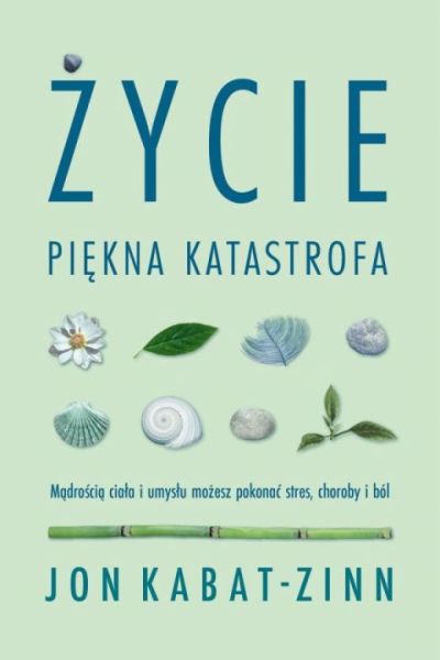 ŻYCIE, PIĘKNA KATASTROFA Jon Kabat-Zinn