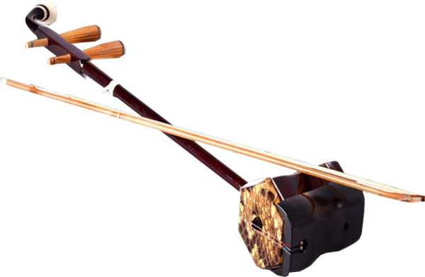 Erhu + pokrowiec