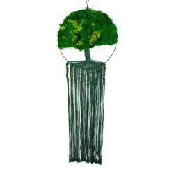Makrama - drzewo życia mech (zielone)